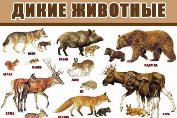 Маркетплейс кракен kraken