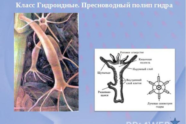 Кракен маркетплейс в россии