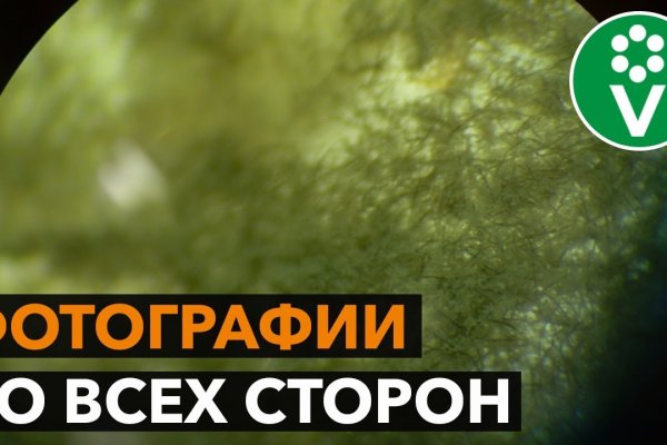 Открыть даркнет