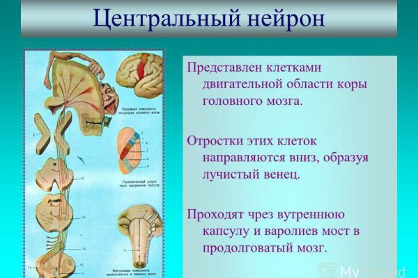 Кракен маркет это