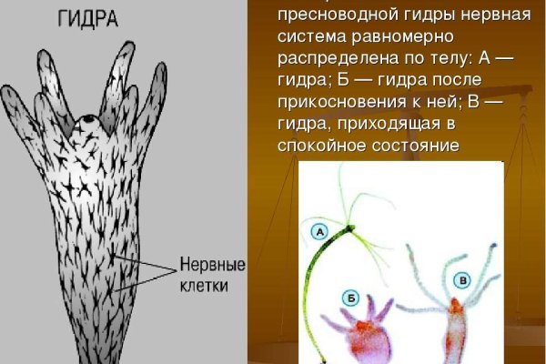 Kraken ссылка тг